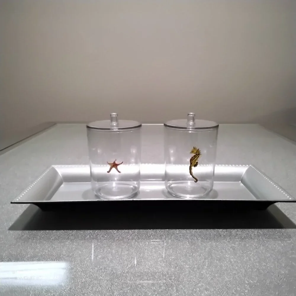 Bathroom Vanity Mattt Silver Tray, 2 Ocean Themed Q-Tip, Cotton Ball Containers